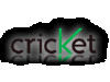 cricket
